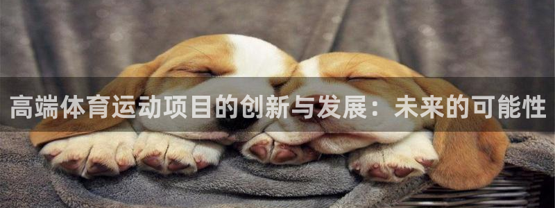 必一运动体育官网入口