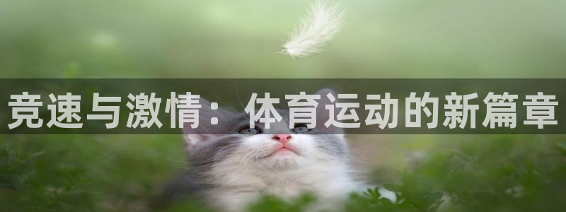 bsports官网 必一运动