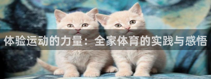 必一运动官网入口：体验运动的力量：全家体育的实践与感悟