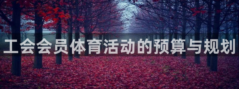 bsports官网 必一运动：工会会员体育活动的预算与规划