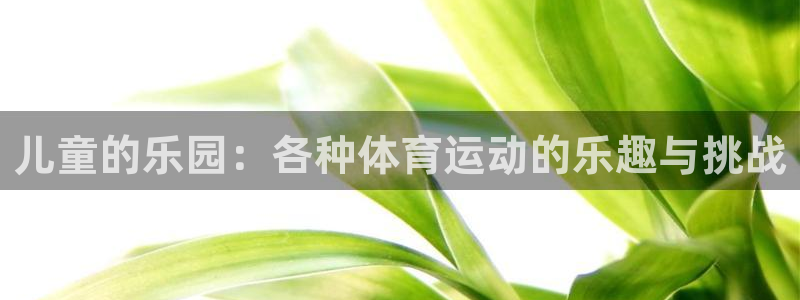 必一运动：儿童的乐园：各种体育运动的乐趣与挑战