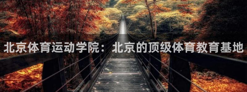 bsports官网 必一运动