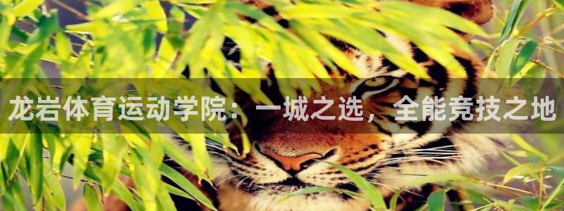 必一运动bsport体育