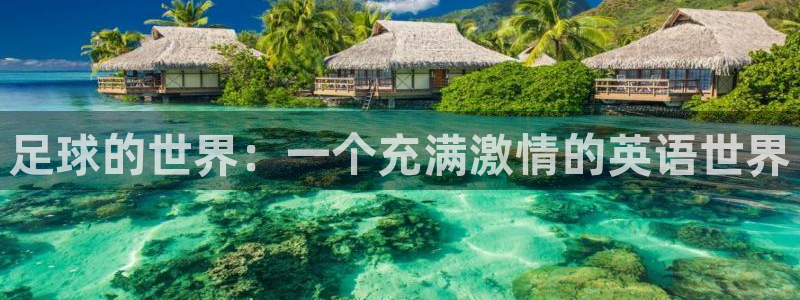 必一运动体育