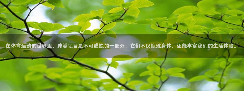 必一运动官网：在体育运动的世界里，球类项目是不可或缺的一部分，它们不仅锻炼身体，还能丰富我们的生活体验。