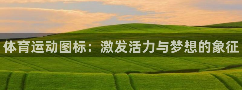 b体育必一运动官网：体育运动图标：激发活力与梦想的象征
