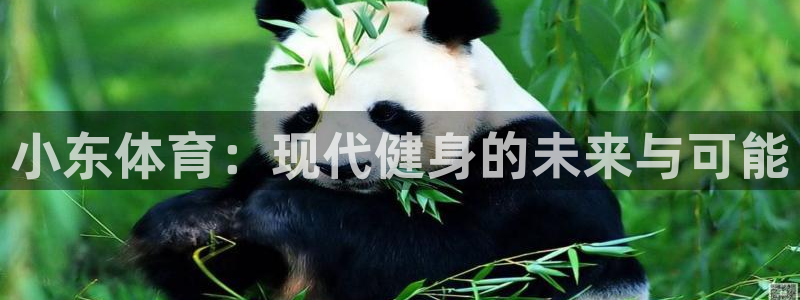 bsport必一运动：小东体育：现代健身的未来与可能